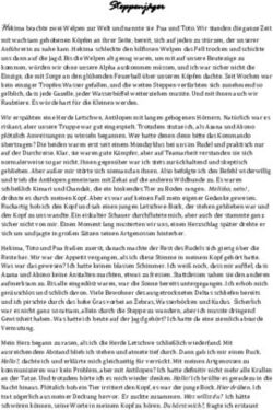 Steppenj&auml;ger - Katja Brandis