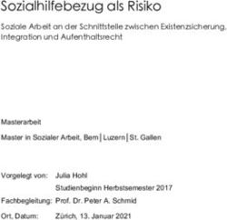 Sozialhilfebezug als Risiko - Soziale Arbeit an der Schnittstelle zwischen Existenzsicherung, Integration und Aufenthaltsrecht - Edition Soziothek
