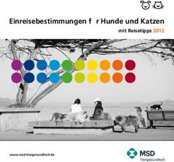Einreisebestimmungen f&uuml;r Hunde und Katzen - mit Reisetipps 2012
