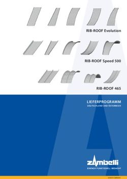 RIB-ROOF 465 LIEFERPROGRAMM - DEUTSCHLAND UND ÖSTERREICH - RIB-ROOF Evolution RIB-ROOF Speed 500 - Zambelli