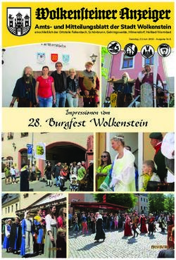 Burgfest Wolkenstein - Impressionen vom einschlie&szlig;lich der Ortsteile Falkenbach, Sch&ouml;nbrunn, Gehringswalde, Hilmersdorf, Heilbad Warmbad