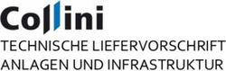 TECHNISCHE LIEFERVORSCHRIFT ANLAGEN UND INFRASTRUKTUR - Collini