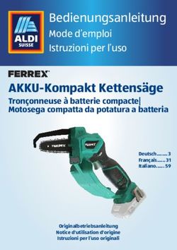 AKKU-Kompakt Kettensäge - Tronçonneuse à batterie compacte| Motosega compatta da potatura a batteria - Aldi Suisse