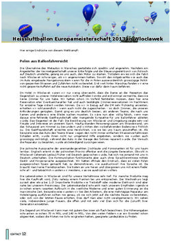 Heissluftballon Europameisterschaft 2013 in Wloclawek