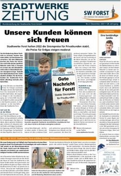 Unsere Kunden k&ouml;nnen sich freuen - Stadtwerke Forst halten 2022 die Strompreise f&uuml;r Privatkunden stabil, die Preise f&uuml;r Erdgas steigen moderat