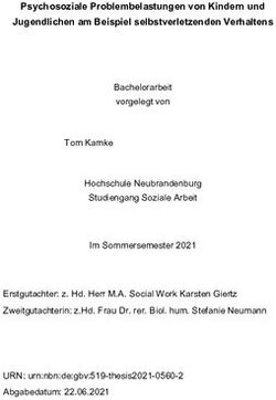 Psychosoziale Problembelastungen von Kindern und Jugendlichen am Beispiel selbstverletzenden Verhaltens - Hochschule Neubrandenburg