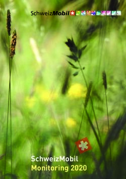 SchweizMobil Monitoring 2020 - Bundesamt f&uuml;r Strassen ...