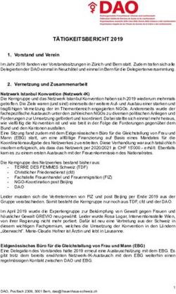 T&Auml;TIGKEITSBERICHT 2019 - frauenhaus-schweiz.ch