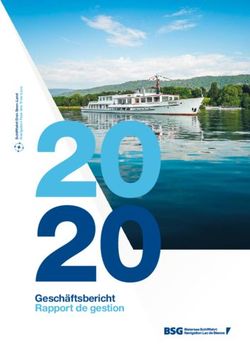 Geschäftsbericht Rapport de gestion - Bielersee Schifffahrt