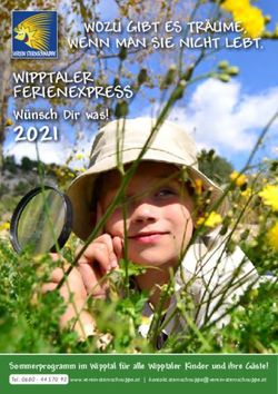 2021 WIPPTALER FERIENEXPRESS W&uuml;nsch Dir was! - verein-sternschnuppe