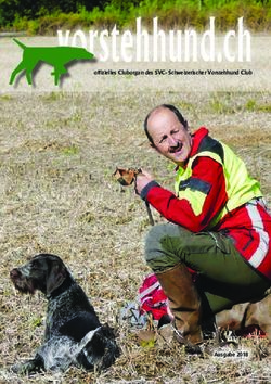 Vorstehhund.ch - Schweizer Vorstehhunde Club