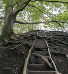 Geführte Themenwanderungen 2018 Kultur, Geschichte und Genuss