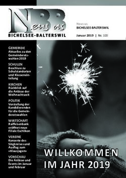 WILLKOMMEN IM JAHR 2019 - Bichelsee-Balterswil