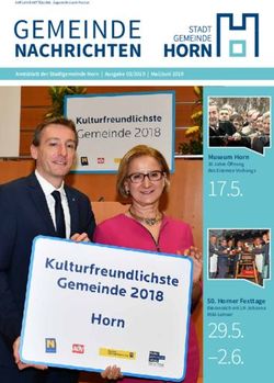 GEMEINDE NACHRICHTEN - Stadtgemeinde Horn