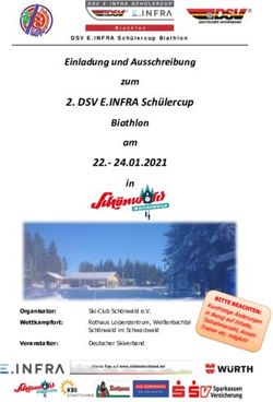 DSV E.INFRA Schülercup - Einladung und Ausschreibung zum - Ski-Club ...