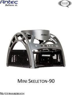MINI SKELETON- 90 NUTZERHANDBUCH