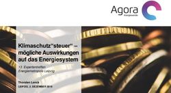 Klimaschutz"steuer" - m&ouml;gliche Auswirkungen auf das Energiesystem - Expertentreffen Energiemetropole Leipzig