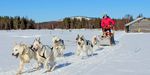 Winterzauber in Finnisch-Lappland