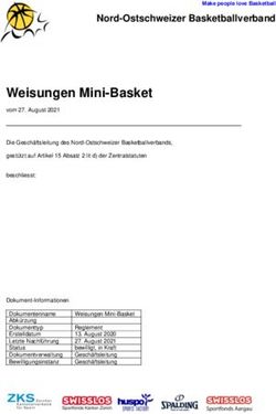 WEISUNGEN MINI-BASKET - PROBASKET