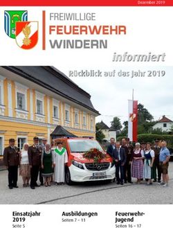 Informiert Rückblick auf das Jahr 2019 - Einsatzjahr 2019 - FF Windern