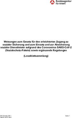 Weisungen zum Gesetz f&uuml;r den erleichterten Zugang zu sozialer Sicherung und zum Einsatz und zur Absicherung sozialer Dienstleister aufgrund des ...