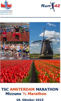 TSC AMSTERDAM MARATHON - Mizzuno Marathon 18. Oktober 2015