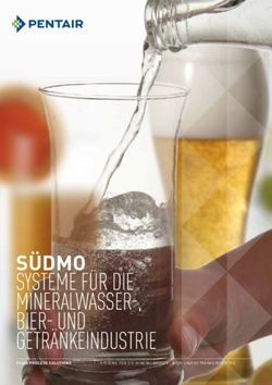 SÜDMO SYSTEME FÜR DIE MINERALWASSER-, BIER- UND GETRÄNKEINDUSTRIE - FLUID PROCESS SOLUTIONS