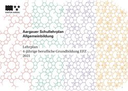 Aargauer Schullehrplan Allgemeinbildung - Lehrplan 4-jährige Berufliche ...