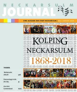 N E EINE AUSGABE DER STADT NECKARSULM | JULI AUGUST 2018