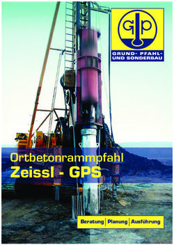 Zeissl - GPS Ortbetonrammpfahl - Beratung Planung Ausf&uuml;hrung
