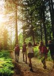 SOMMERZEIT IST NATURZEIT - NEWS FR&Uuml;HJAHR/SOMMER 2021 - Genie&szlig;en Sie den wild-romantischen Harz. Das Schierke Harzresort am Brocken hei&szlig;t Sie ...
