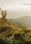 SOMMERZEIT IST NATURZEIT - NEWS FR&Uuml;HJAHR/SOMMER 2021 - Genie&szlig;en Sie den wild-romantischen Harz. Das Schierke Harzresort am Brocken hei&szlig;t Sie ...