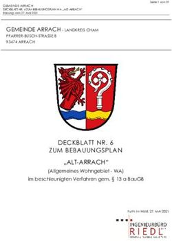 DECKBLATT NR. 6 ZUM BEBAUUNGSPLAN "ALT-ARRACH" - Landkreis Cham