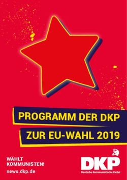 Programm der dKP zur eu-Wahl 2019 - W&auml;hlt Kommunisten! news.dkp.de - Unsere Zeit