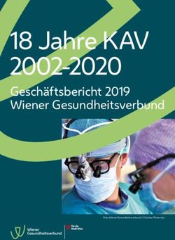 18 Jahre KAV 2002-2020 - Gesch&auml;ftsbericht 2019 Wiener Gesundheitsverbund