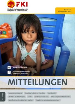 MITTEILUNGEN www.fki-peru.de - F&ouml;rderkreis Kooperation mit Indigenen in Amazonien