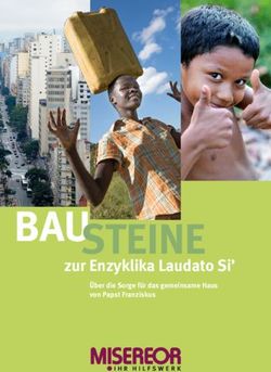 BAUSTEINE zur Enzyklika Laudato Si' - &Uuml;ber die Sorge f&uuml;r das gemeinsame Haus von Papst Franziskus - Misereor