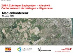 Medienkonferenz 19. Juni 2019 - ZUBA Zubringer Bachgraben - Allschwil / Contournement de H&eacute;singue - H&eacute;genheim - Gemeinde Allschwil