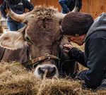 KinoSchule Hannover Oktober 2020 - Januar 2021 - Hannover.de