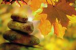 Programm Herbst 2020 - Stadt Bargteheide