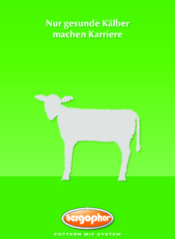 Nur gesunde K&auml;lber machen Karriere