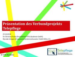 Pr&auml;sentation des Verbundprojekts Telepflege - 25.10.2018 Dr. Christian Vaske (Projektleiter VITA Akademie GmbH) Maraike Schaper ...