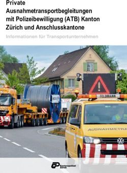 Private Ausnahmetransportbegleitungen mit Polizeibewilligung (ATB) Kanton Z&uuml;rich und Anschlusskantone - Informationen f&uuml;r Transportunternehmen ...