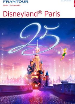 Disneyland Paris Die Nr. 1 für Frankreich - FRI Travel