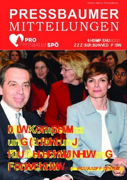 Mit Kompetenz und Erfahrung f&uuml;r Gerechtigkeit und - Fortschritt (unserProgrammabSeite5) - Pro Pressbaum SP&Ouml;