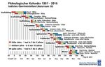 Phänologischer Kalender - Ein Rhythmus, den die Natur vorgibt und dem der Bien folgt - Bienen&Natur