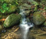 TAGE DES NATURPARKS SCHULLEITERINNEN, PÄDAGOGINNEN UND SCHULGRUPPEN DER (NATURPARK-)SCHULEN UND - PH BURGENLAND