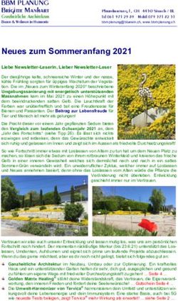 Neues zum Sommeranfang 2021 - BBMPlanung