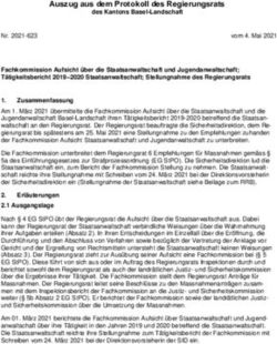 Auszug aus dem Protokoll des Regierungsrats - Kanton Basel ...