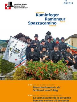 Kaminfeger - Kaminfeger Schweiz